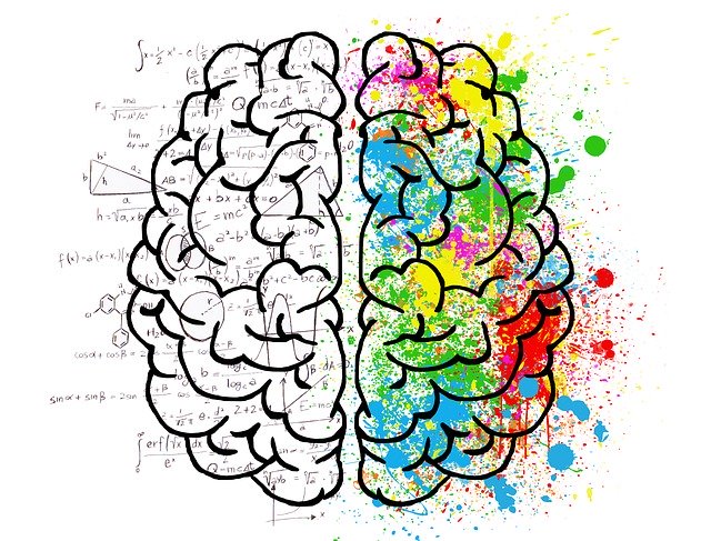 Logik und Kreativität im Hirn