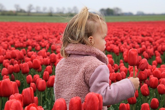 Kind inmitten von Tulpen