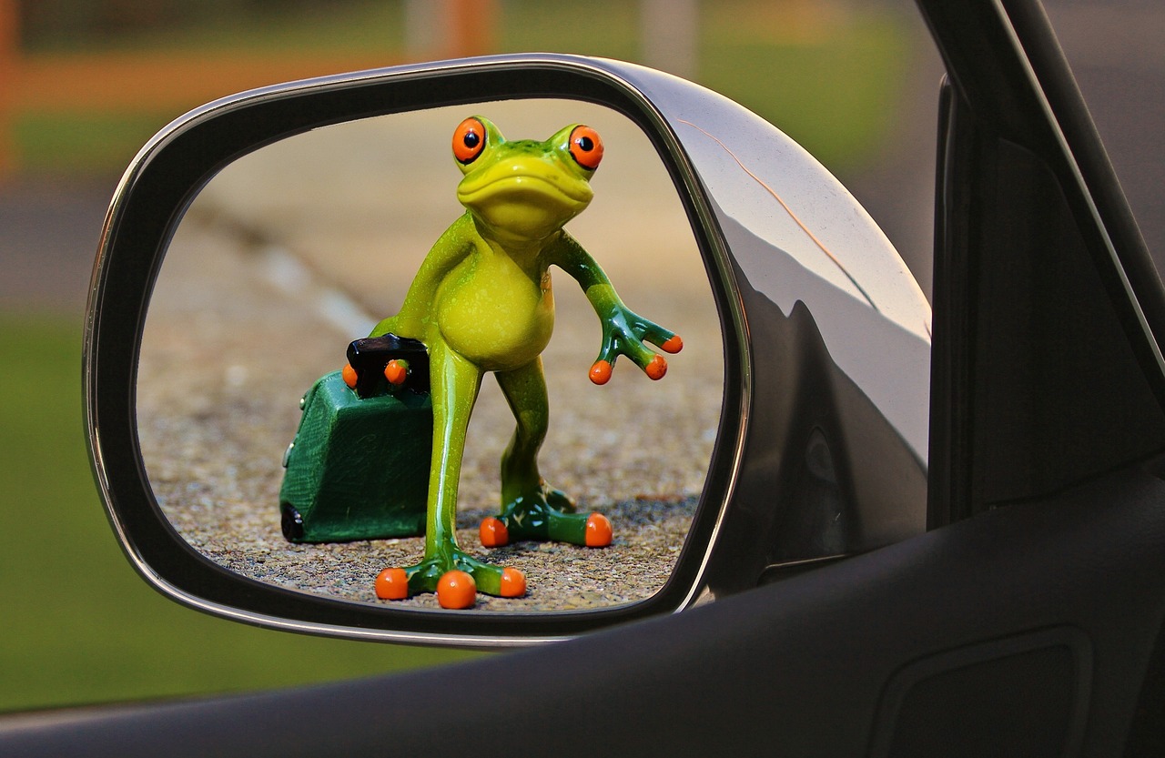 Rückspiegel eines Autos, in dem sich ein Frosch mit Koffer spiegelt